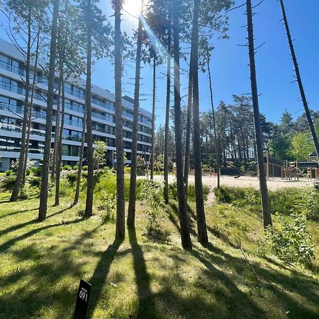 Klif Apartamenty Shellter Rogowo Rogowo  Zewnętrze zdjęcie